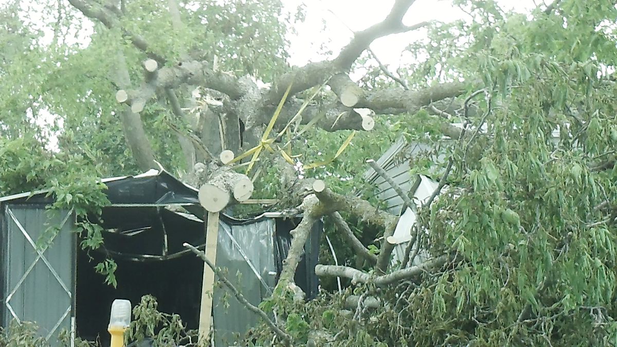 Crushed Roofs